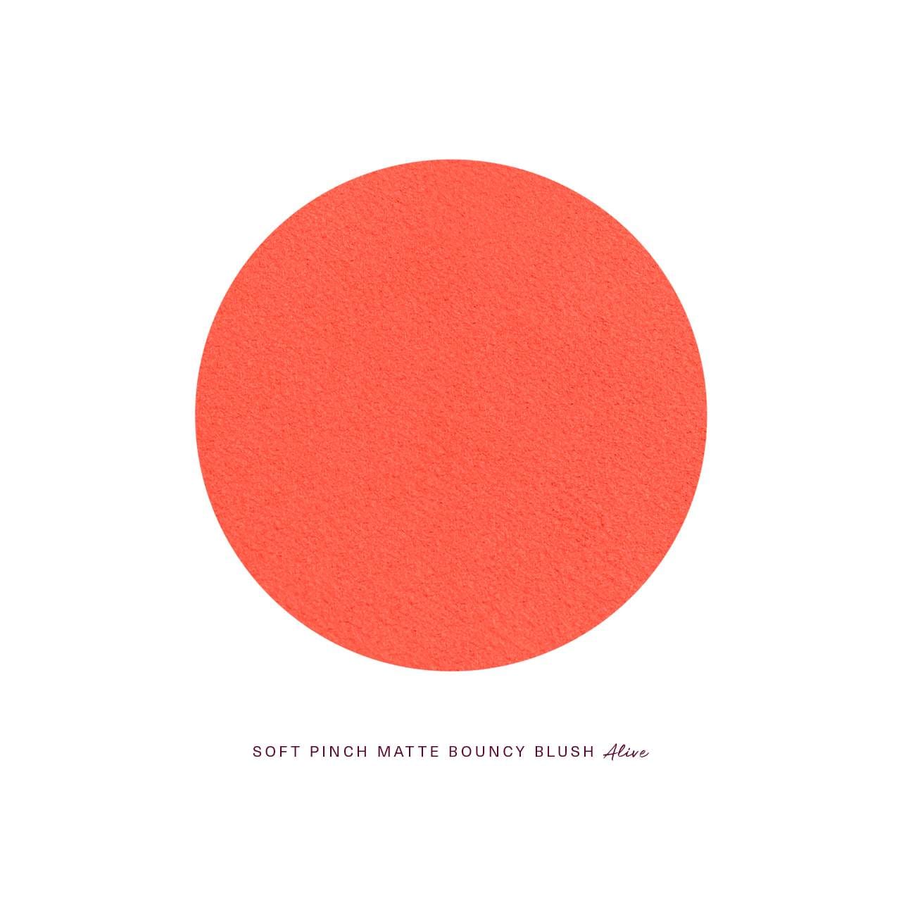 Soft Pinch Matte Bouncy Blush